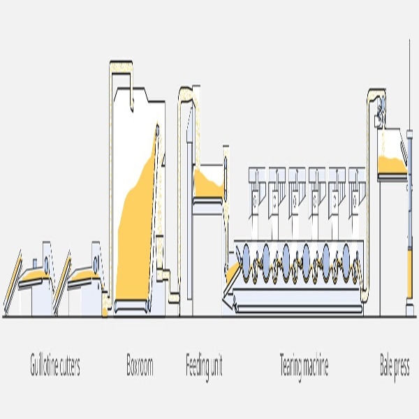 Structureofatearingline